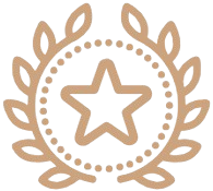 Bronze Badge Icon